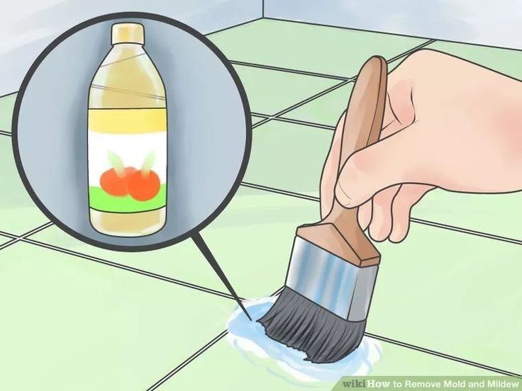 Why Trust Mold Bros for Mold Removal? A Comprehensive Guide